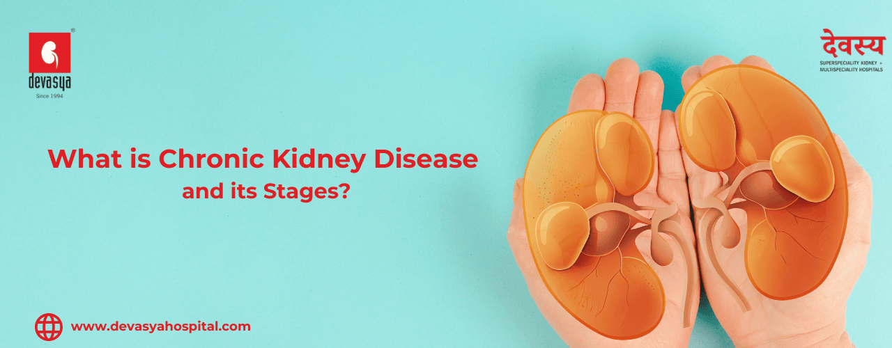 _Chronic Kidney Disease  (1).png