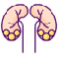 /uploads/puj_4c30dac6a4.png